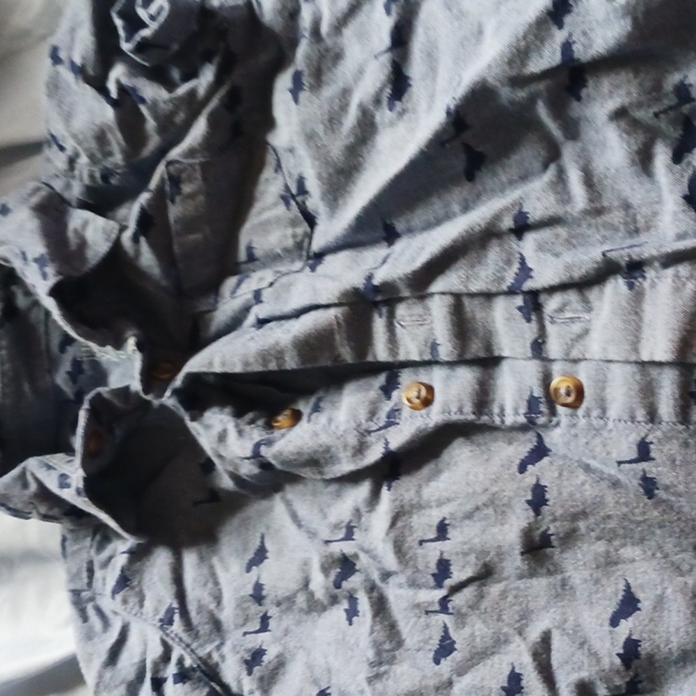 Carters button down 12 month dinosaur shirt